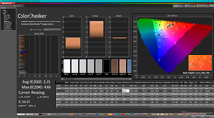 ColorChecker (sRGB preset)