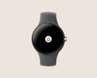 O aplicativo Home do Google no Pixel Watch. (Fonte: Google)