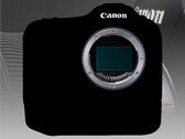 Embora tenha havido vários vazamentos sobre a Canon EOS R1, as especificações exatas ainda são um mistério. (Fonte da imagem: Canon - editado)