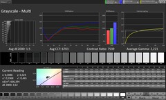 Escalas de cinza (perfil: Original Pro, espaço de cor de destino: sRGB)