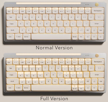 O teclado de ação dupla Hesper64(100) vem em dois layouts. (Fonte da imagem: Nics Tek)