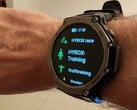 A Zepp Health também tem como alvo os atletas da Hyrox (foto de ilustração)