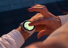 O Forerunner 965 é um dos muitos smartwatches que a Garmin atualizou esta semana. (Fonte da imagem: Garmin)