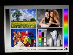 Amplos ângulos de visão do OLED