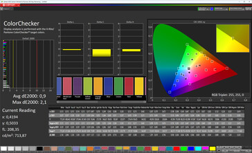 Precisão de cores (modo de exibição: Pro, espaço de cores alvo: sRGB)