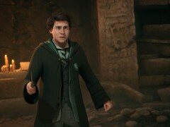 Os fãs temem que seu personagem em Hogwarts Legacy 2 possa ser ofuscado por Harry Potter.