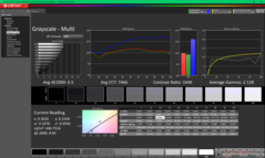 Escala de cinza antes da calibração