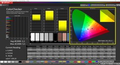 CalMAN ColorChecker (perfil: DisplayP3, espaço de cor de destino: P3)