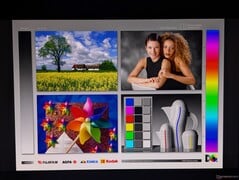 Amplos ângulos de visão do OLED