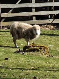Câmera principal (zoom de 20x)