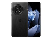 O OnePlus 13 (na foto) tem uma tela levemente curvada. (Fonte da imagem: OnePlus)