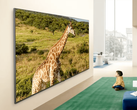 Uma imagem promocional da TV LG QNED84B.
