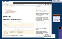 Ambiente gráfico ctwm do NetBSD (Fonte: NetBSD)
