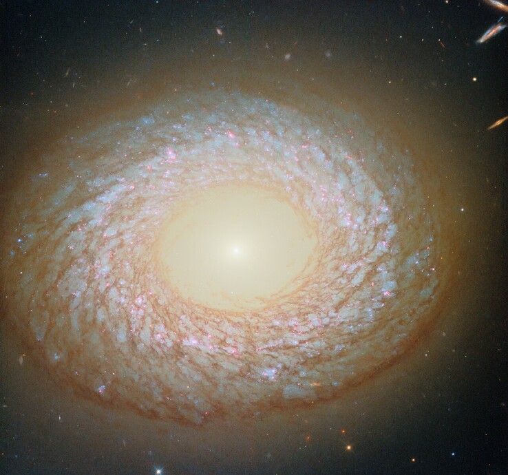Uma imagem da NGC 2775 capturada pelo Hubble (Fonte da imagem: ESA/Hubble, NASA, F. Belfiore, J. Lee e equipe PHANGS-HST)