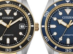 Citizen dois tons