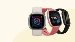 Fitbit é agora uma marca do Google. (Fonte: Fitbit)