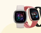 Fitbit é agora uma marca do Google. (Fonte: Fitbit)