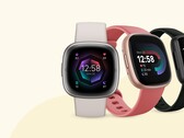 Fitbit é agora uma marca do Google. (Fonte: Fitbit)