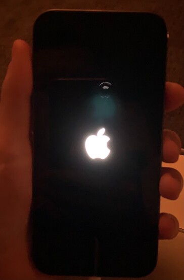 Mais algumas imagens ligadas ao novo problema do "iPhone 12 green tint". (Fonte: Apple Support Communities, MacRumors)