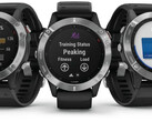 A série Fenix 6 deve estar a ponto de receber outra atualização estável. (Fonte da imagem: Garmin)