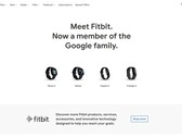 Fitbit: agora na loja do Google. (Fonte: Google)
