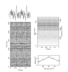 Talvez um pulsar? (fonte: Pulsar Seekers)