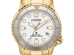 Um close-up do mostrador do novo Citizen EO2029-54A.