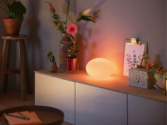 O abajur de mesa Philips Hue Flourish