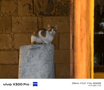 Vivo X300 Pro 200 mm com teleconversor.