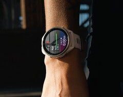 É bem possível que demore um pouco até que a Garmin envie uma versão 19.xx estável. (Fonte da imagem: Garmin)