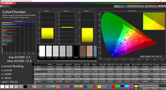 CalMAN: ColorChecker (calibrated)