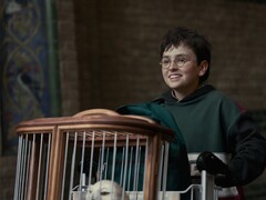 No Reddit, os fãs de Harry Potter estão discutindo momentos emocionantes dos livros que não devem ser deixados de fora da série da HBO.