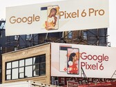 O Pixel 6 e o Pixel 6 Pro têm diferentes câmeras frontais. (Fonte de imagem: @davidurbanke)