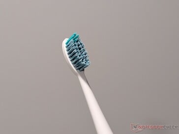 Close up da cabeça da escova padrão incluída no kit de escova de dentes elétrica.