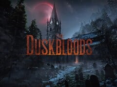 Banner do teste de rede do The Duskbloods para o Switch 2 exibido