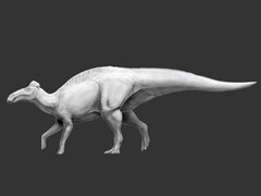 O Edmontosaurus annectens é o primeiro dinossauro conhecido por ter tido pés semelhantes a cascos. (Fonte da imagem: Science.org)