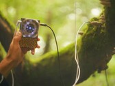 O Pocket Scion cria música com base na atividade elétrica das plantas. (Fonte da imagem: Instruō)