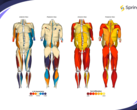 A Springbok Analytics oferece análise muscular em 3D com tecnologia de IA. (Fonte: Springbok Analytics)