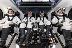 Os astronautas da Crew-11 estão sendo treinados na Flórida (Fonte da imagem: SpaceX)