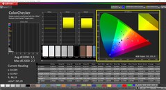 CalMAN ColorChecker (DCI-P3 target color space)