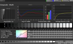 CalMAN Grayscale (Escala de cinza)