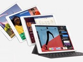 O mais recente iPad de nível básico tem um chipset biônico A12. (Fonte da imagem: Apple)
