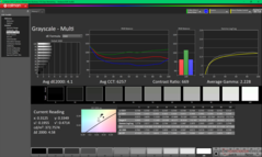 Escala de cinza antes da calibração (sRGB)