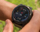 A versão beta 14.66 chega logo após a mais recente atualização estável do smartwatch da Garmin. (Fonte da imagem: Garmin)