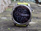 A Garmin tem acesso a milhões de registros de dados de treinamento.