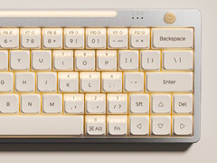 Teclado Nics Tek Hesper64(100) com teclas de ação dupla: Detalhes adicionais revelados. (Fonte da imagem: Nics Tek)