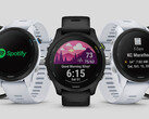 As séries Forerunner 255 e Forerunner 955 estão cada vez mais próximas de uma nova atualização estável. (Fonte da imagem: Garmin)