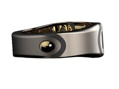 Como deve ser o &quot;Bond Ring&quot;. (Fonte da imagem: Bond Ring)