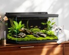 O Dangbei Smart Fish Tank 2S Ultra será lançado na China em 26 de abril de 2026.