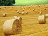 Quanto mais, melhor nem sempre está certo, mesmo na agricultura. (Imagem: pixabay/ybernardi)